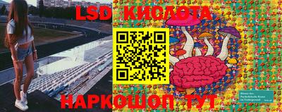 крисы Краснознаменск